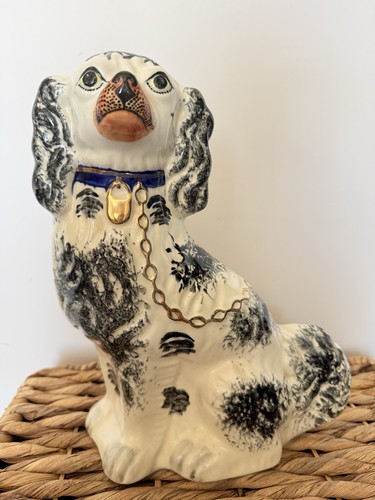 Vintage staffordshire spaniel - vintage,