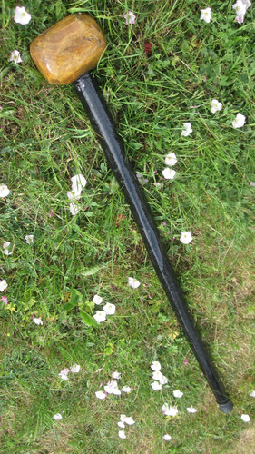 Big irish blackthorn - irish,