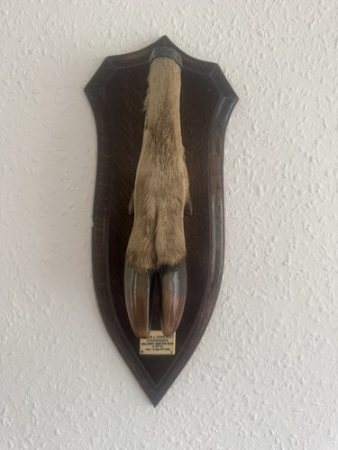 Rowland ward mounted - ward,