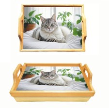Cat Lap Tray With Handle Bean Bag Cushion Padded Breakfast Dinner Serving Tray