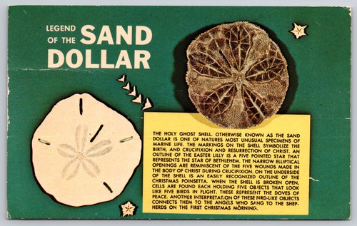 Legend the sand dollar - legend, of