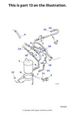 Jaguar Genuine Purge