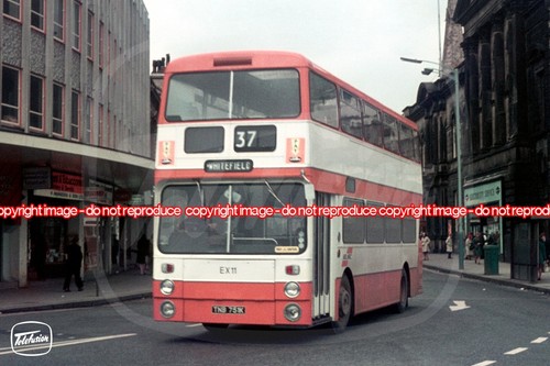 Bus photo selnec northern - photo,