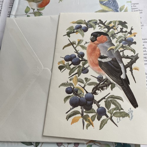 Charles tunnicliffe bullfinch - charles,