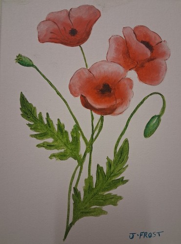 Three poppies original oil - three,