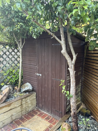 Wooden garden shed - garden,