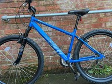 Apollo Phaze Men's Mountain