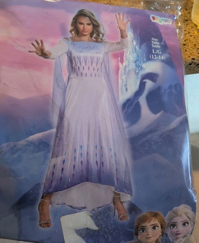 Elsa frozen adult women - elsa,