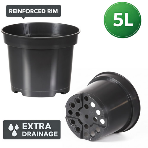 Plastic plant pot black - plant,