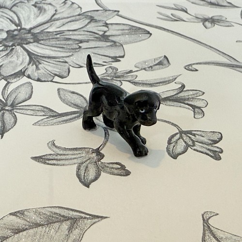 Black labrador puppy dog - puppy,