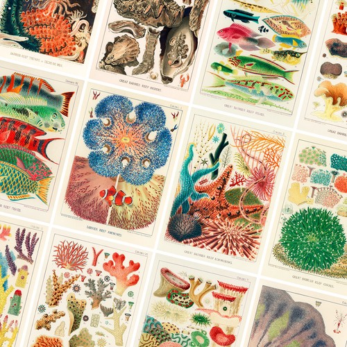 Vintage ocean posters - ocean, prints