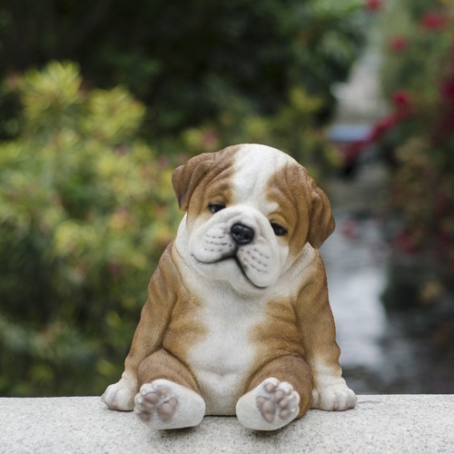 Sitting sleeping bulldog - sitting, 2