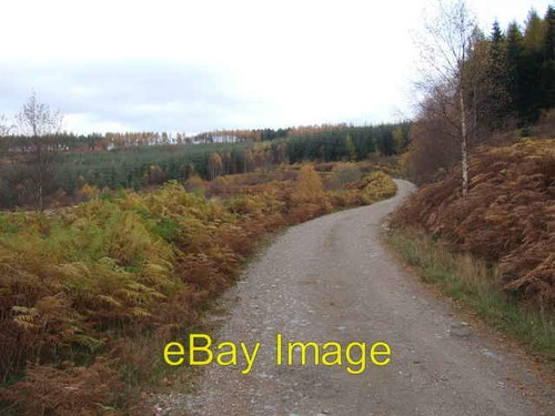 Photo 6x4 view - 6x4,