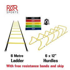 Agility Training Hurdles