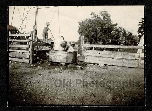 Farm summer fun - fun, cools