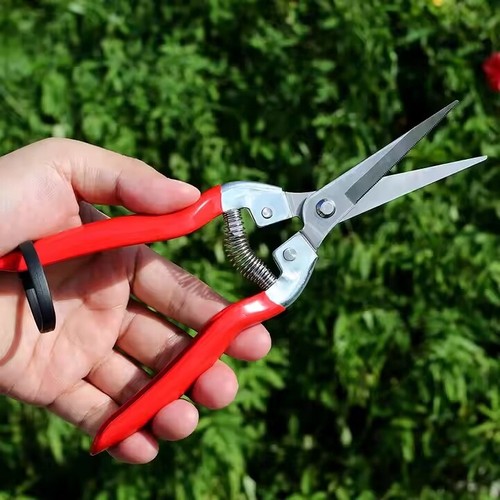 Secateurs pruners garden - secateurs,
