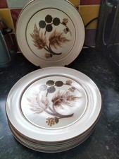 Denby Cotswold Dinner Plates