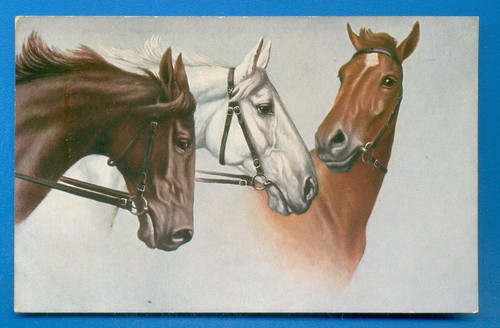 Noble steeds tucks oilette - noble,