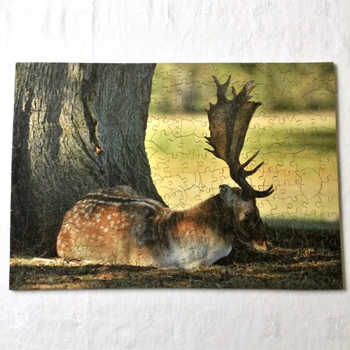 Wentworth wooden jigsaw puzzle - wentworth,