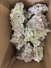 Real Reef Rock Clean Dried and