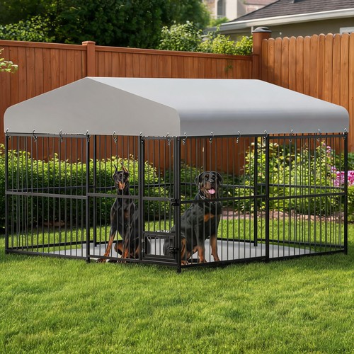 Large dog kennel outside - outside, heavy
