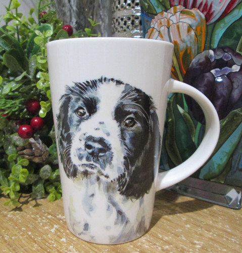 Beautiful springer spaniel pup - springer,