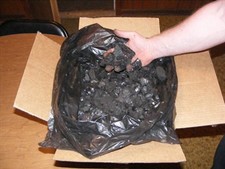 Stove/Furnace Coal (15 Lbs.)