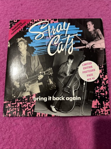 Stray cats bring back - cats, again