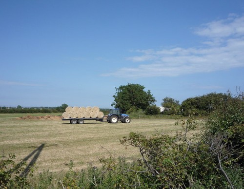 Photo 6x4 collecting silage - photo,