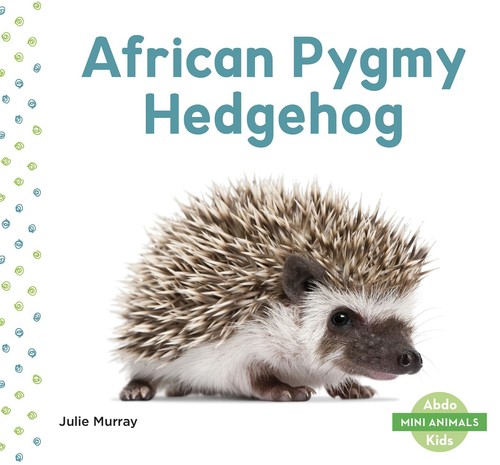African pygmy hedgehog - pygmy, (mini