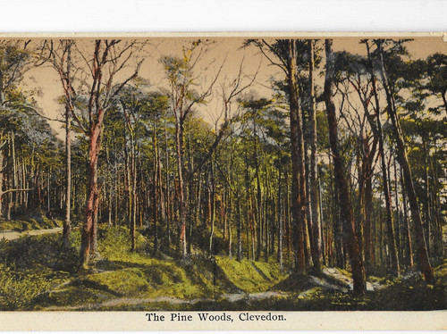 Postcard somerset clevedon - somerset,