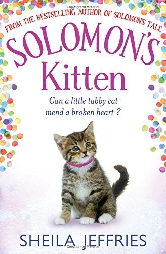 Solomon kitten sheila - solomon's, kitten-sheila