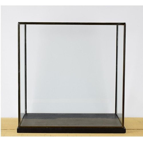 Glass display showcase - glass,