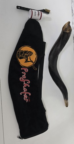 Shofar yemenite kudu - kudu, horn
