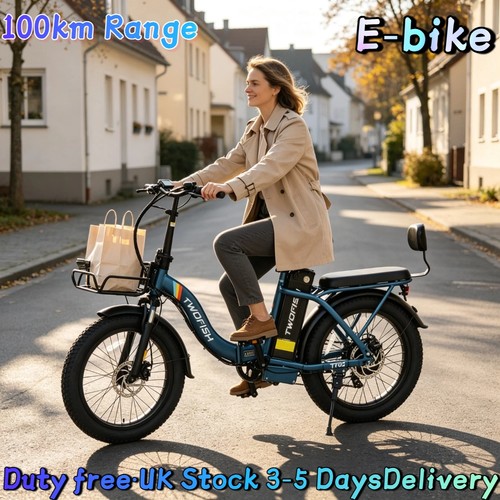 Unisex fat tyre - 20"fat, folding
