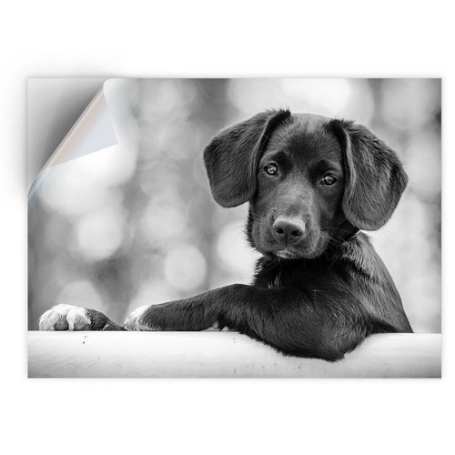 Vinyl sticker bw - 1,