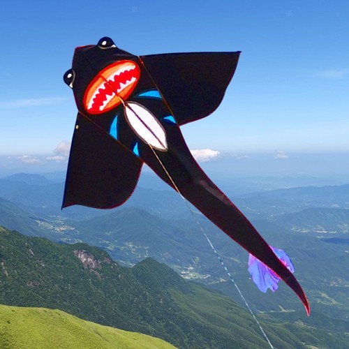 Big kite sturdy - big,