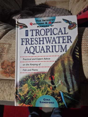 Tropical freshwater aquarium - tropical,