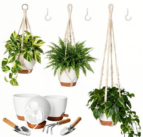 Pack self watering hanging - self,
