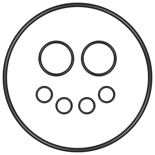 Ring seal kit for - o-ring, fx5
