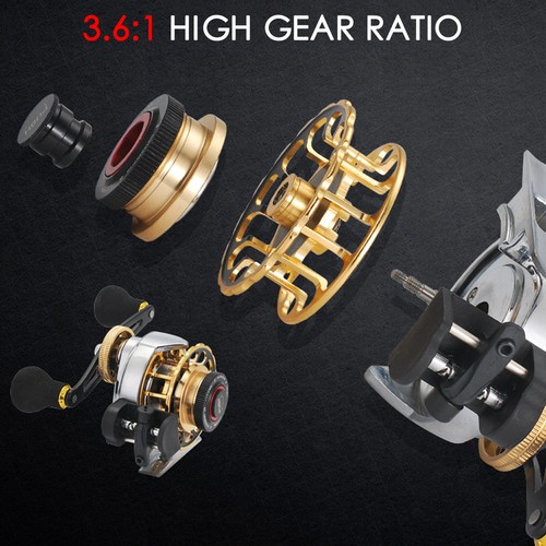 Fishing reel gear - reel, ratio