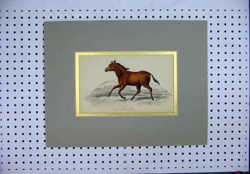 Original old antique - original,