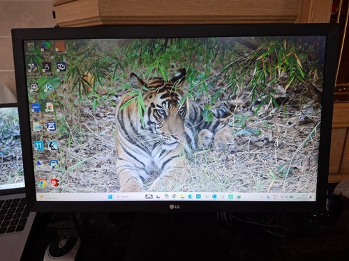 Full monitor 55cm - 55cm, /