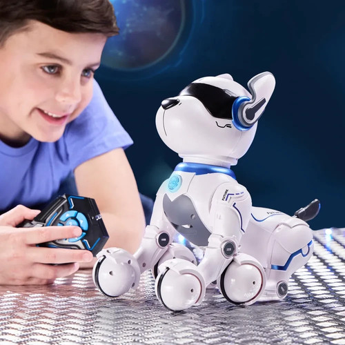 Ziggy the robo dog remote - ziggy,