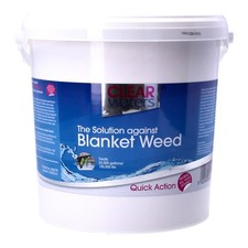 NISHIKOI CLEAR WATERS