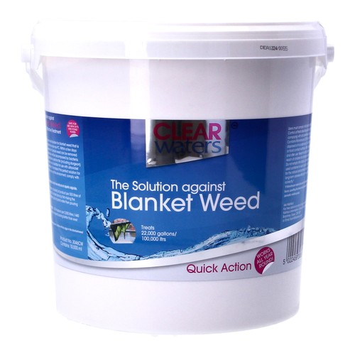 Nishikoi clear waters - clear,