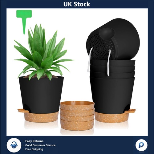 Modern self watering plant - self-watering,