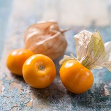 Cape Gooseberry Goldvital Maxi