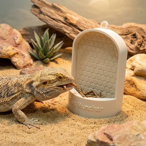 Personalised reptile feeder - personalised,