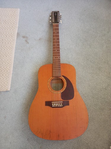 Simon patrick 12strings - 12strings, ce